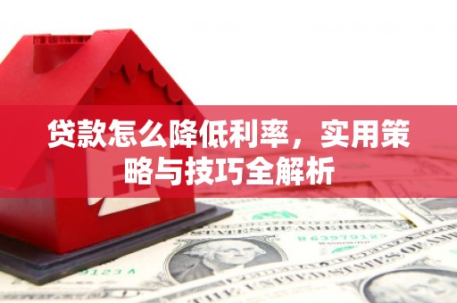保亭贷款怎么降低利率，实用策略与技巧全解析