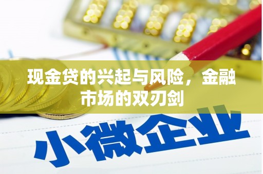 保亭现金贷的兴起与风险，金融市场的双刃剑