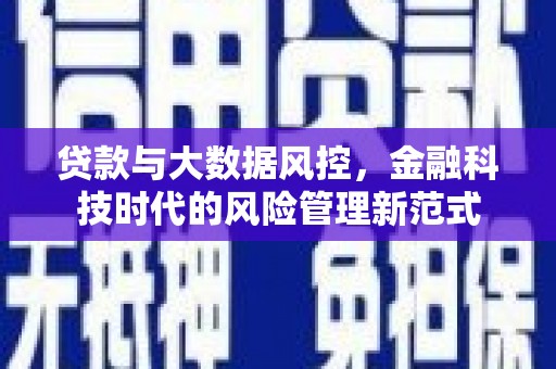 保亭贷款与大数据风控，金融科技时代的风险管理新范式