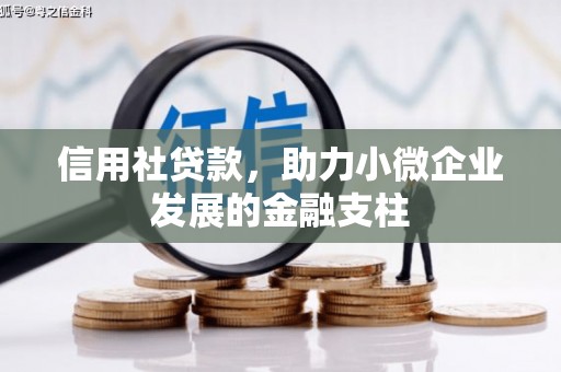 保亭信用社贷款，助力小微企业发展的金融支柱