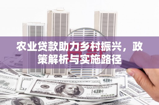 保亭农业贷款助力乡村振兴，政策解析与实施路径