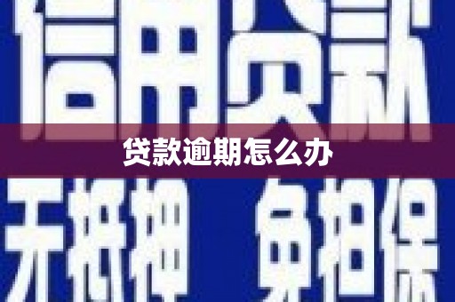 保亭贷款逾期怎么办