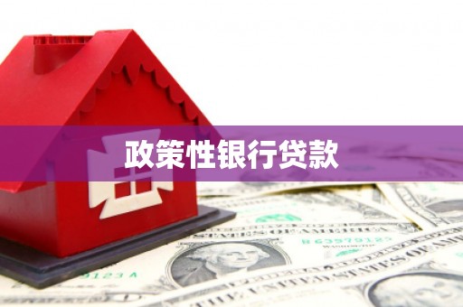 保亭政策性银行贷款