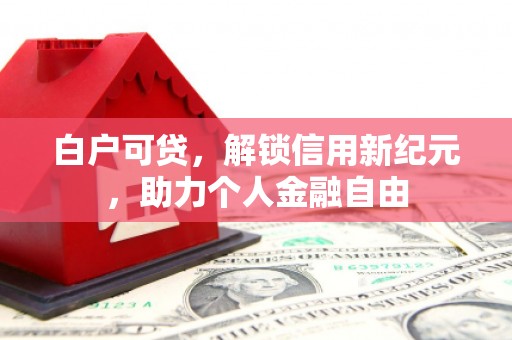 保亭白户可贷，解锁信用新纪元，助力个人金融自由