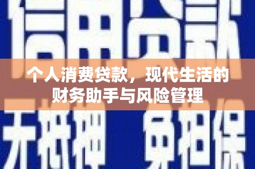 保亭个人消费贷款，现代生活的财务助手与风险管理