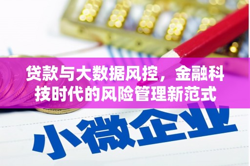 保亭贷款与大数据风控，金融科技时代的风险管理新范式
