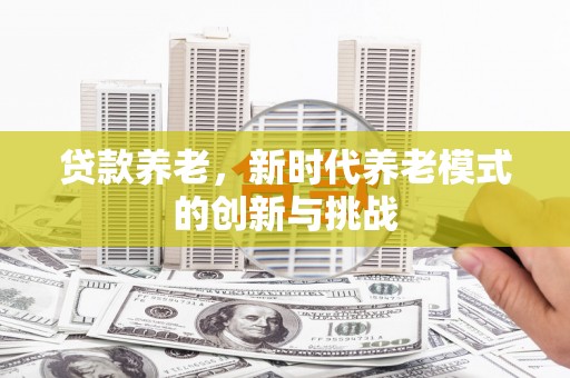 保亭贷款养老，新时代养老模式的创新与挑战