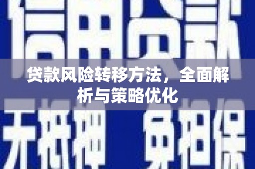 保亭贷款风险转移方法，全面解析与策略优化