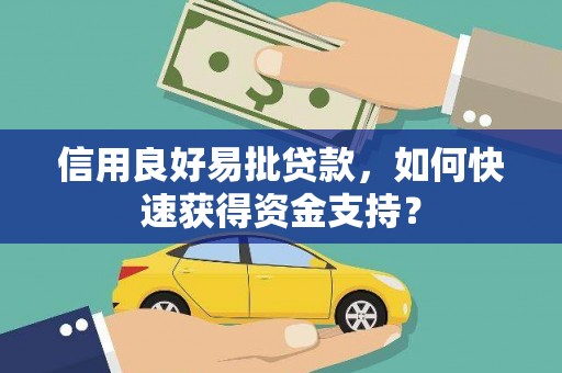 保亭信用良好易批贷款，如何快速获得资金支持？
