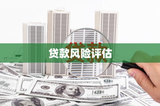保亭贷款风险评估
