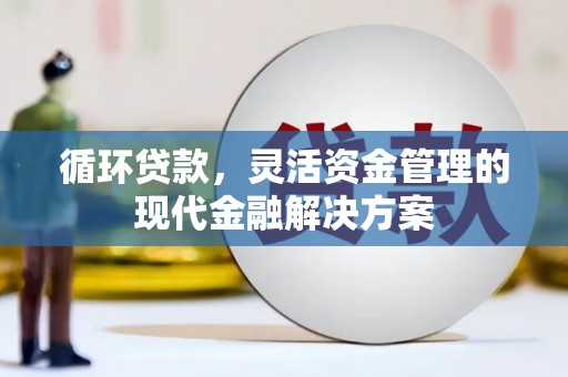 保亭循环贷款，灵活资金管理的现代金融解决方案