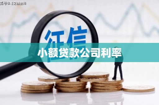 保亭小额贷款公司利率