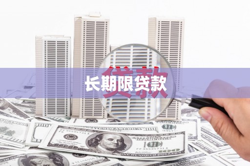 保亭长期限贷款