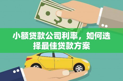 保亭小额贷款公司利率，如何选择最佳贷款方案