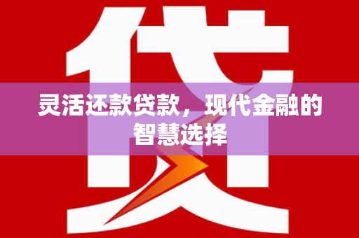 保亭灵活还款贷款，现代金融的智慧选择