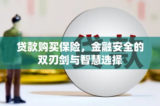 保亭贷款购买保险，金融安全的双刃剑与智慧选择