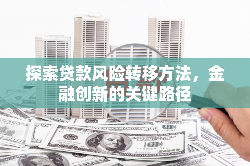 保亭探索贷款风险转移方法，金融创新的关键路径