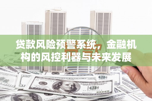 保亭贷款风险预警系统，金融机构的风控利器与未来发展