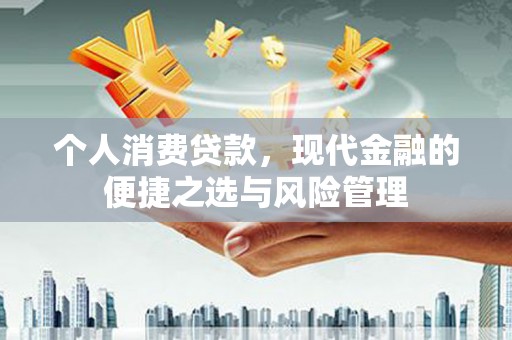 保亭个人消费贷款，现代金融的便捷之选与风险管理