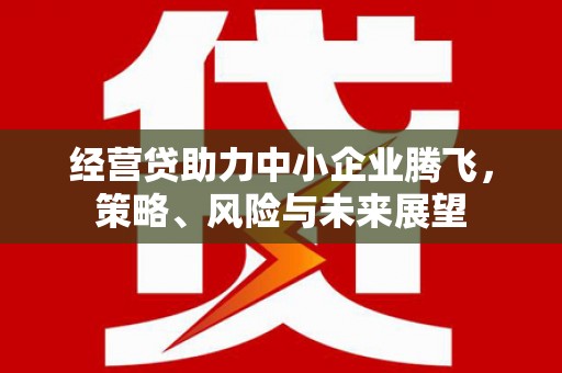保亭经营贷助力中小企业腾飞，策略、风险与未来展望