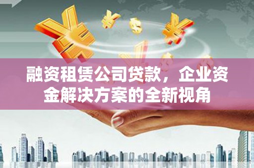 保亭融资租赁公司贷款，企业资金解决方案的全新视角
