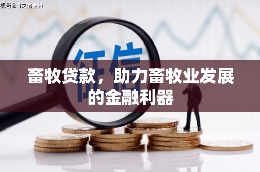 保亭畜牧贷款，助力畜牧业发展的金融利器