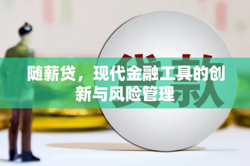 保亭随薪贷，现代金融工具的创新与风险管理