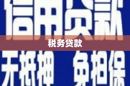 保亭税务贷款