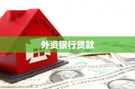 保亭外资银行贷款
