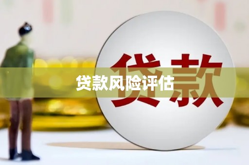 保亭贷款风险评估