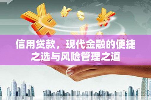保亭信用贷款，现代金融的便捷之选与风险管理之道