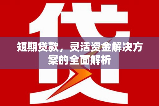 保亭短期贷款，灵活资金解决方案的全面解析