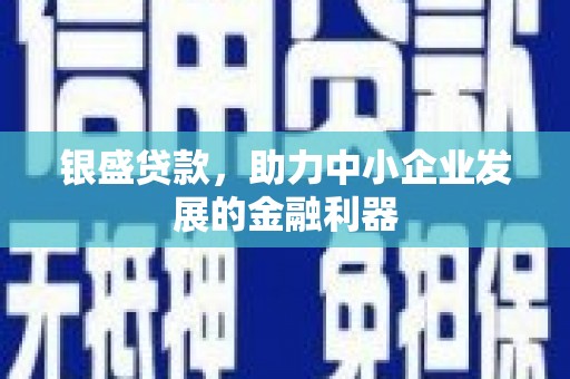 保亭银盛贷款，助力中小企业发展的金融利器