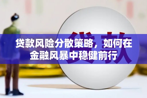 保亭贷款风险分散策略，如何在金融风暴中稳健前行