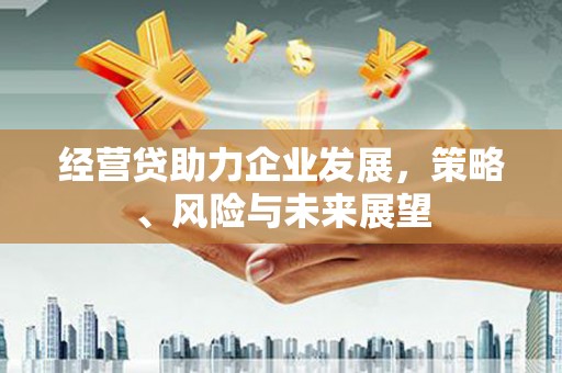 保亭经营贷助力企业发展，策略、风险与未来展望