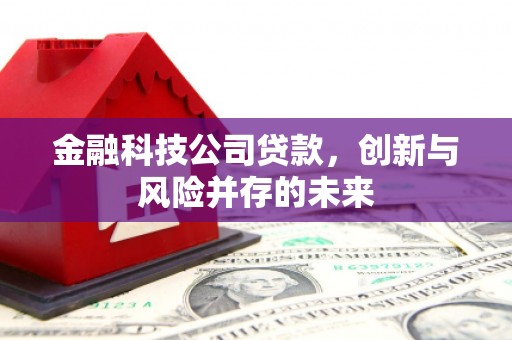 保亭金融科技公司贷款，创新与风险并存的未来