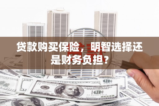 保亭贷款购买保险，明智选择还是财务负担？