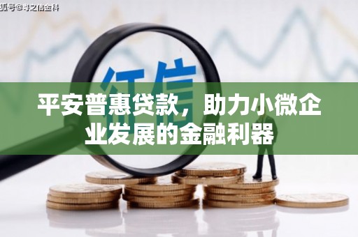 保亭平安普惠贷款，助力小微企业发展的金融利器