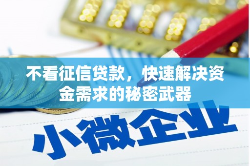 保亭不看征信贷款，快速解决资金需求的秘密武器