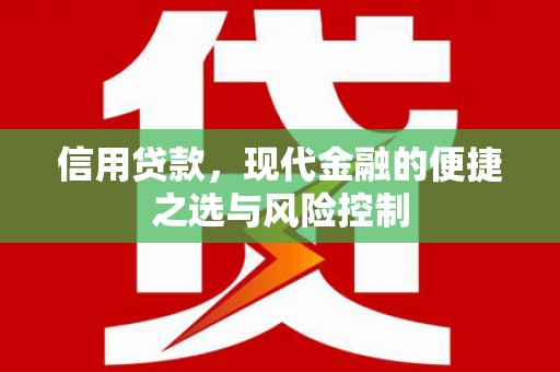 保亭信用贷款，现代金融的便捷之选与风险控制