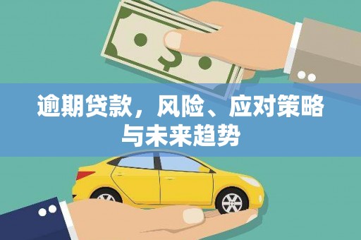 保亭逾期贷款，风险、应对策略与未来趋势