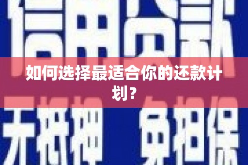 保亭如何选择最适合你的还款计划？