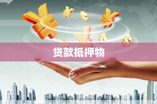保亭贷款抵押物