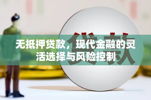 保亭无抵押贷款，现代金融的灵活选择与风险控制