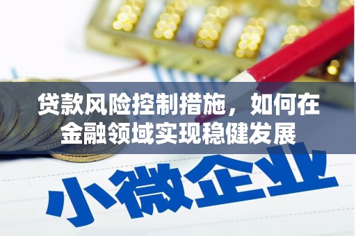保亭贷款风险控制措施，如何在金融领域实现稳健发展
