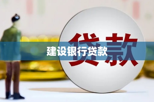 保亭建设银行贷款