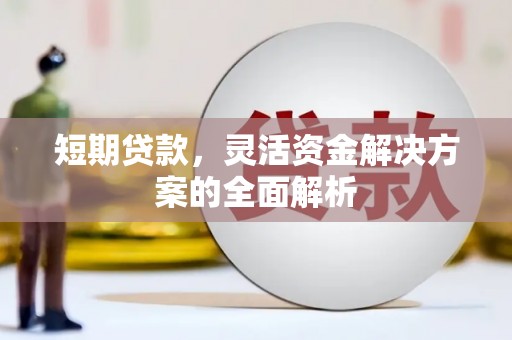 保亭短期贷款，灵活资金解决方案的全面解析
