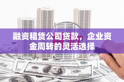保亭融资租赁公司贷款，企业资金周转的灵活选择
