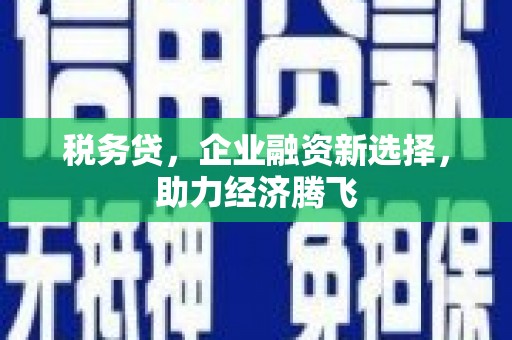保亭税务贷，企业融资新选择，助力经济腾飞
