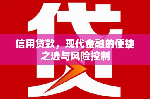 保亭信用贷款，现代金融的便捷之选与风险控制